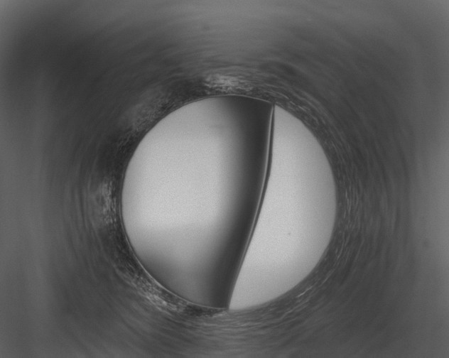 X0000084550420200702230940