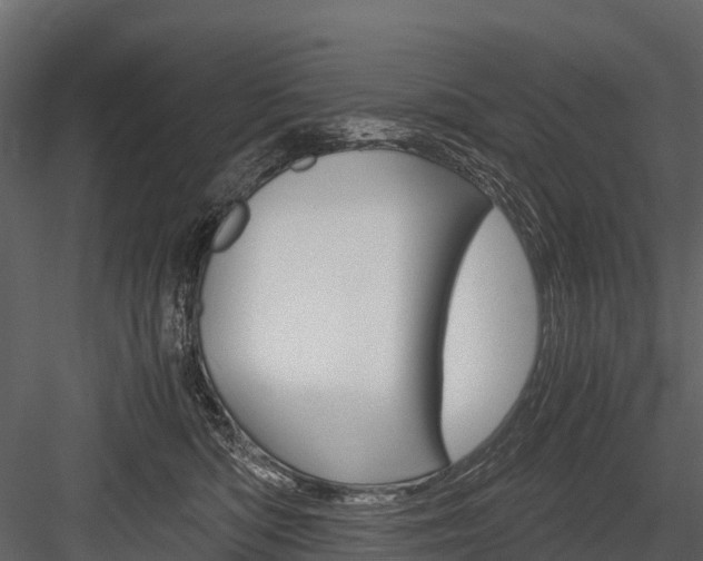 X0000084550422200702230940