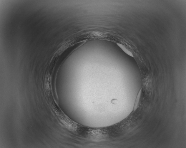 X0000084550423200702230940