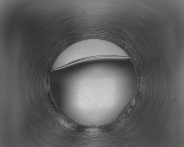 X0000084550428200702230940