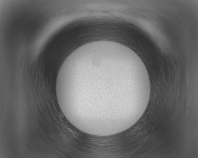 X0000084550431200702230940
