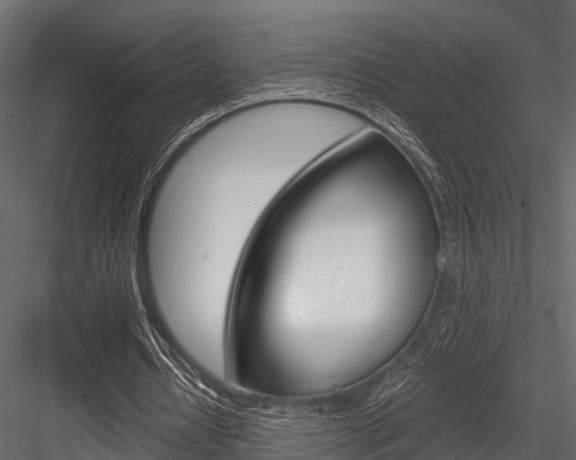 X0000084550434200702230939
