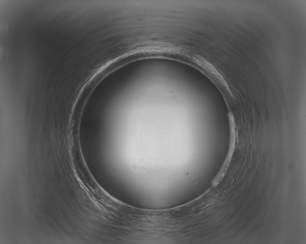 X0000084550436200702230939
