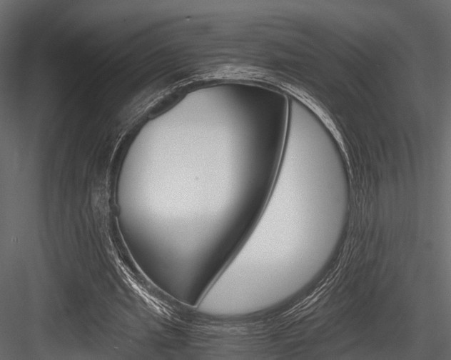 X0000084550437200702230939
