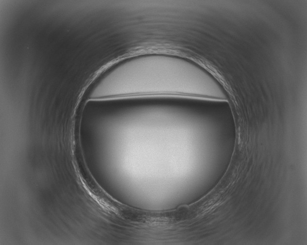 X0000084550438200702230939