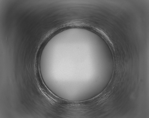 X0000084550439200702230939