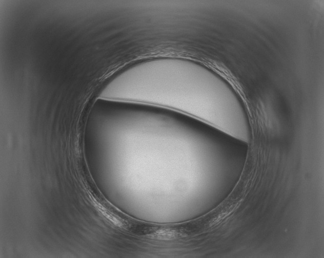 X0000084550441200702230939
