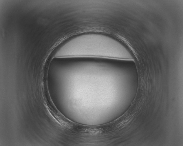 X0000084550443200702230939
