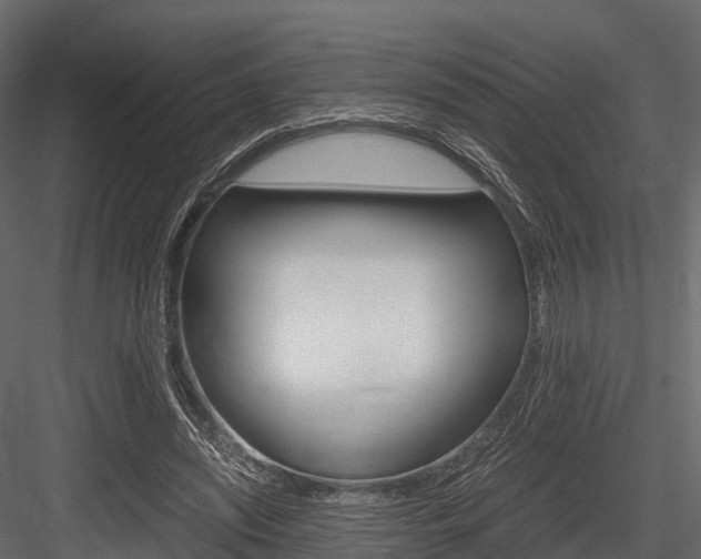 X0000084550444200702230939