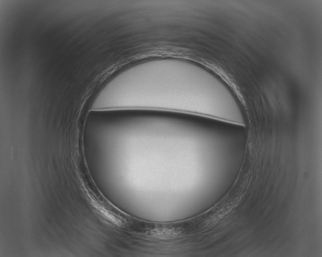 X0000084550445200702230939