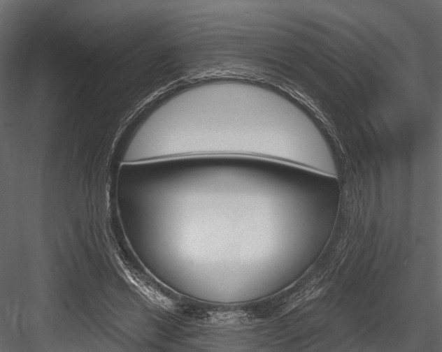 X0000084550446200702230939