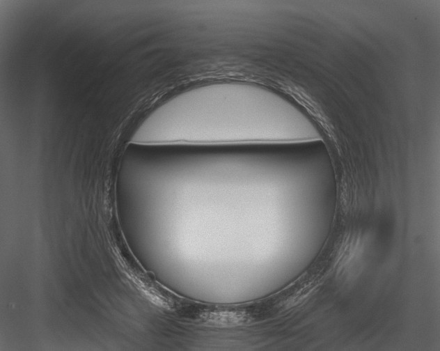 X0000084550449200702230939