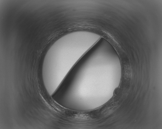 X0000084550451200702230939