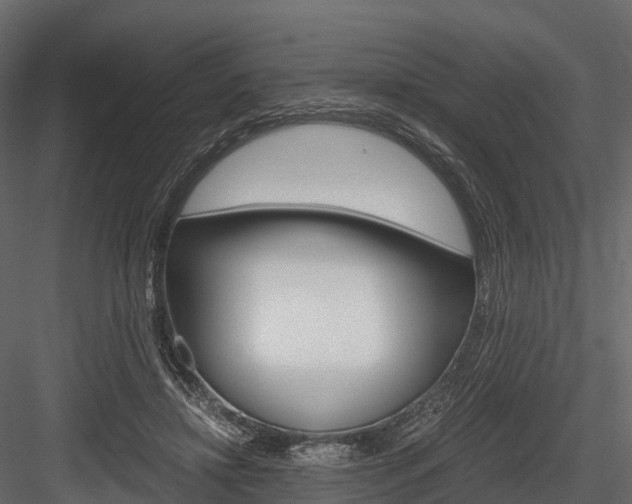 X0000084550452200702230939