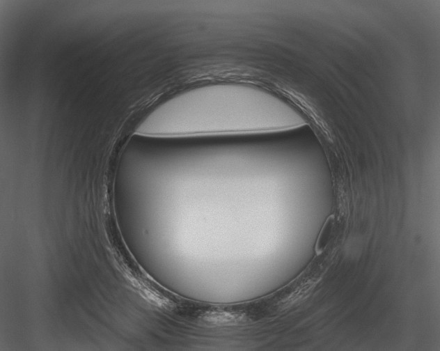 X0000084550453200702230939