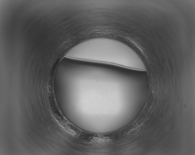 X0000084550455200702230939