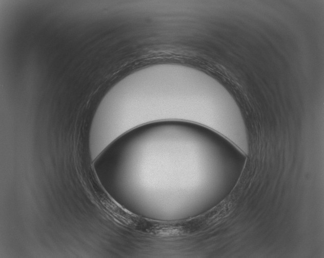 X0000084550456200702230939