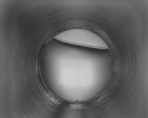 X0000084550457200702230939