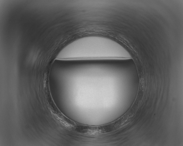 X0000084550458200702230939
