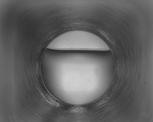 X0000084550459200702230939