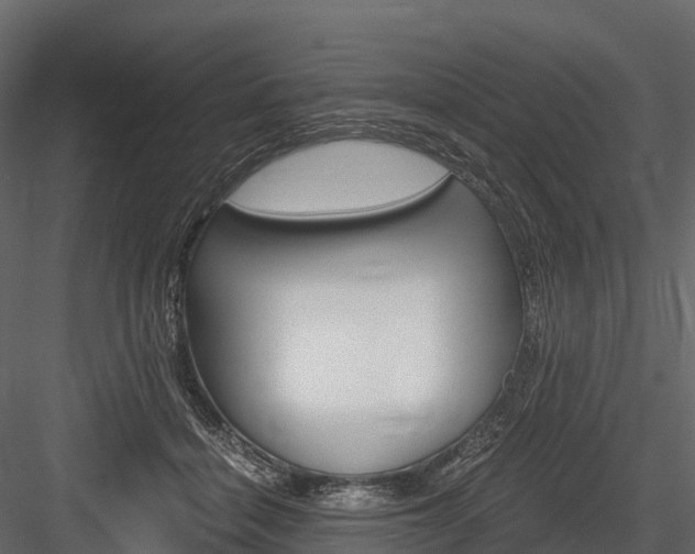 X0000084550460200702230939