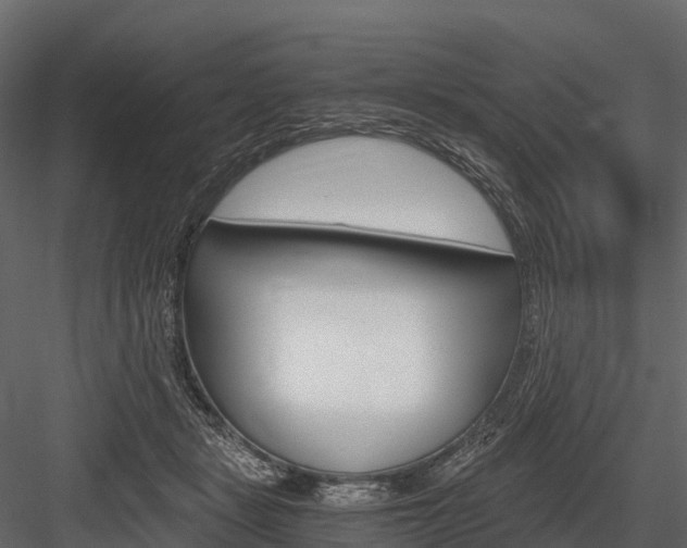 X0000084550461200702230939