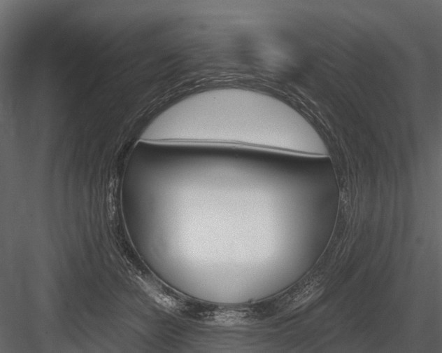 X0000084550462200702230939