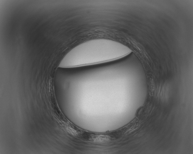 X0000084550463200702230939