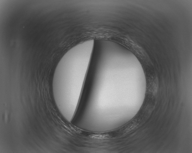 X0000084550465200702230939