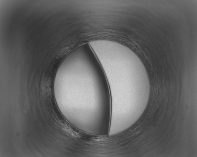 X0000084550466200702230940