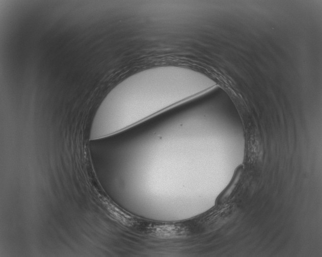 X0000084550473200702230940
