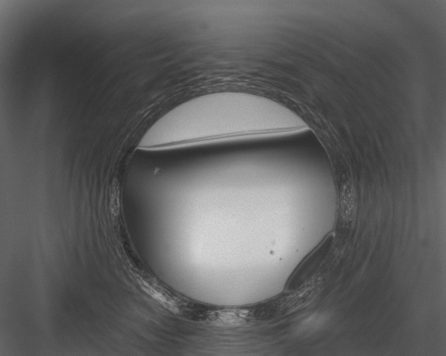 X0000084550474200702230940