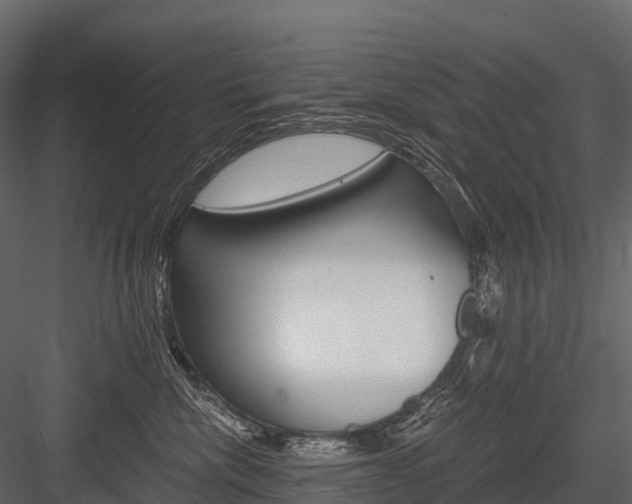 X0000084550476200702230940