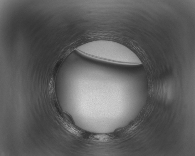 X0000084550478200702230940