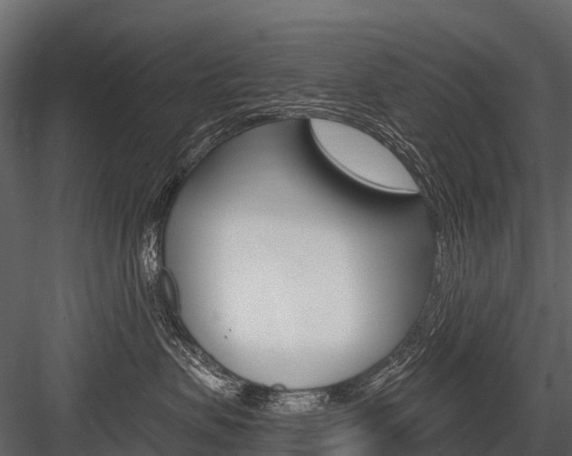 X0000084550479200702230940
