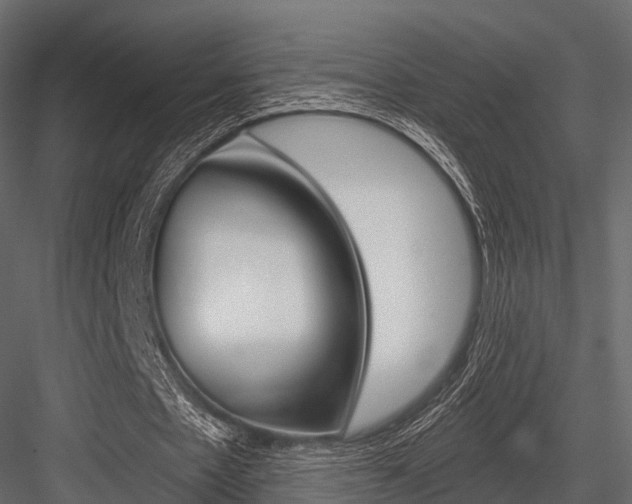 X0000084550481200702230939