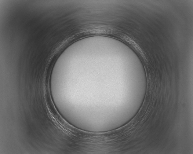X0000084550482200702230939