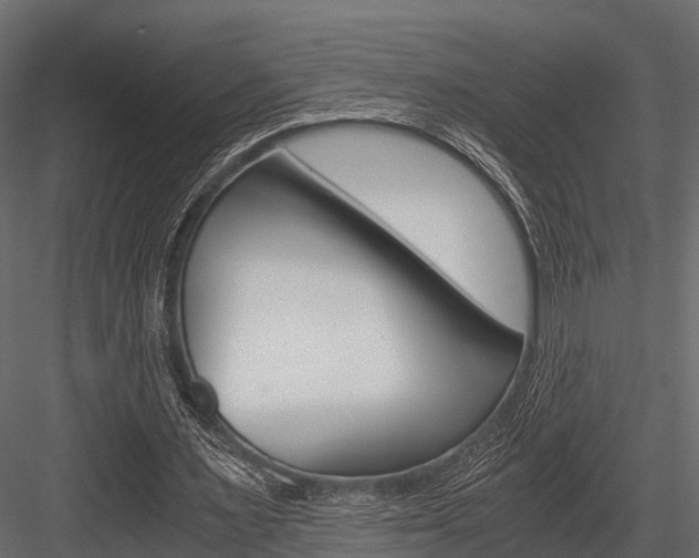 X0000084550483200702230939