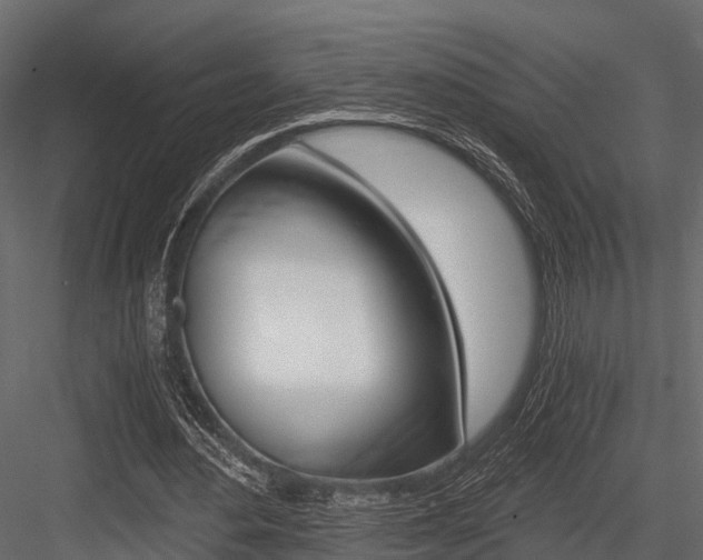 X0000084550484200702230939