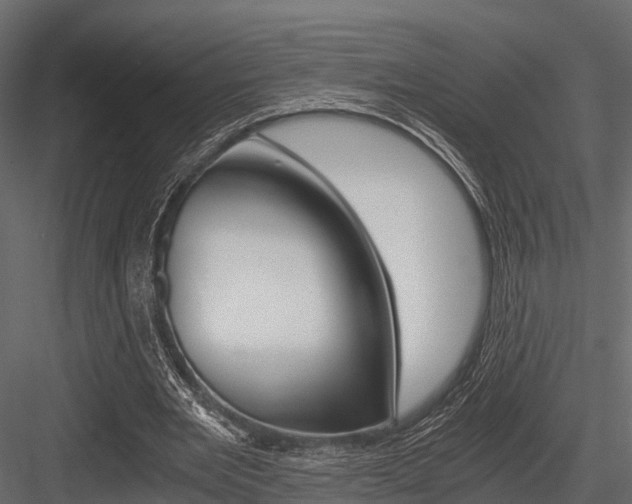 X0000084550485200702230939