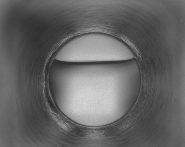 X0000084550486200702230939