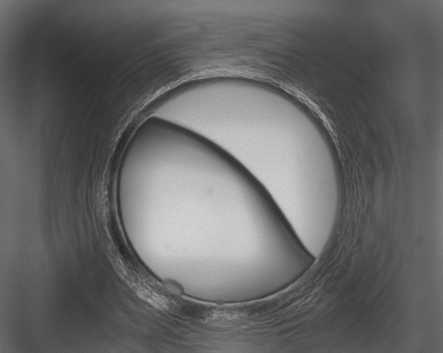 X0000084550487200702230939