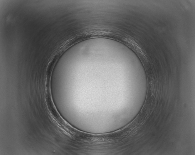 X0000084550490200702230939