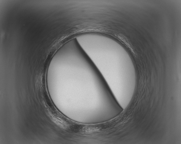 X0000084550491200702230939