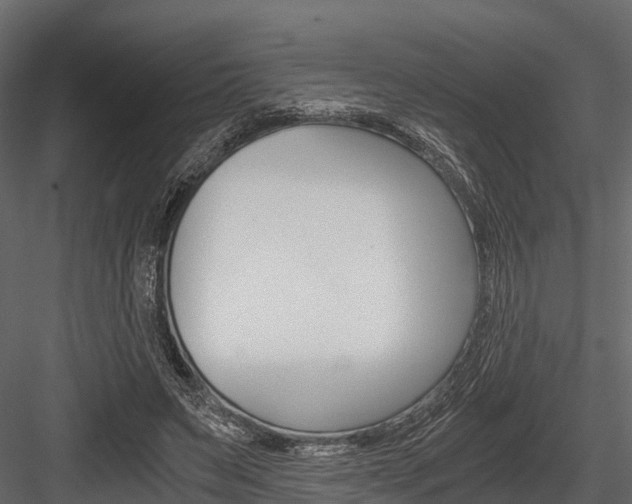 X0000084550495200702230939