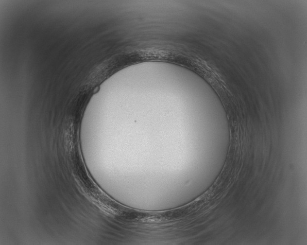 X0000084550498200702230939