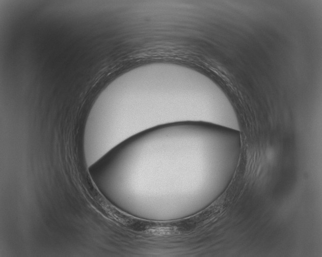 X0000084550499200702230939