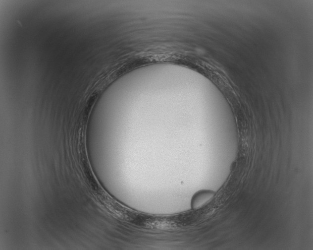 X0000084550503200702230939