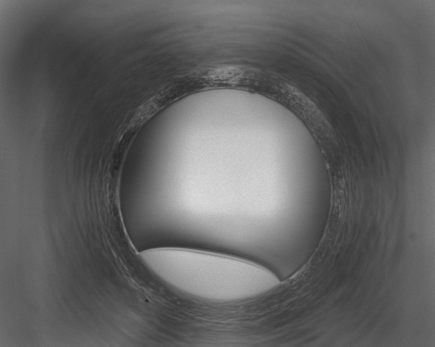 X0000084550504200702230939