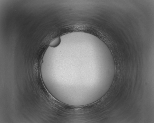 X0000084550506200702230938